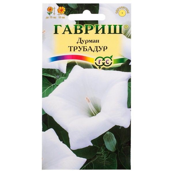 Дурман «Трубадур»