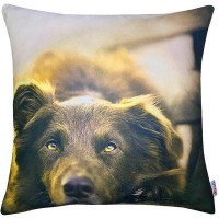 Декоративная наволочка Altali Cats&Dogs P02-1009/1, 43х43 см, микрофибра