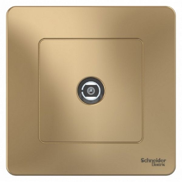ТВ-розетка встраиваемая Schneider Electric Blanca, цвет титан