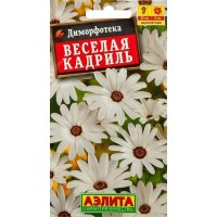 Семена Диморфотека «Веселая кадриль»
