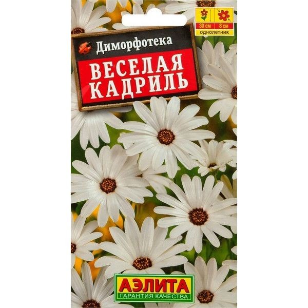 Семена Диморфотека «Веселая кадриль»