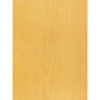 Декоративная самоклеящаяся пленка Color Decor 8016х24 0,45