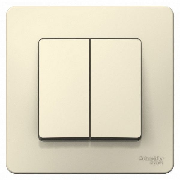 Выключатель встраиваемый Schneider Electric Blanca 2 клавиши, 6А, цвет молочный