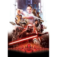 Фотообои Komar Disney Star Wars Movie Poster Rey 4-4113 254х184 см