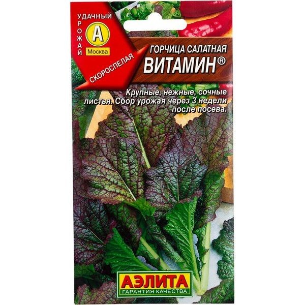 Семена Горчица салатная «Витамин», 0.5 г