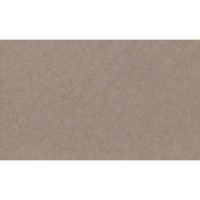 Обои флизелиновые Rasch Factory Style 947441 1.06х10 см