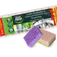 Губки для посуды Master FRESH Master Fresh 10 шт