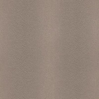Обои флизелиновые Rasch African Queen коричневые 0.53 м 422757