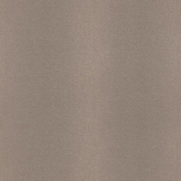 Обои флизелиновые Rasch African Queen коричневые 0.53 м 422757
