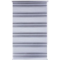 Штора рулонная день-ночь Miamoza 60x160 см, цвет серый