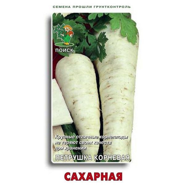 Семена Петрушка «Сахарная»