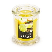 Декоративная свеча Spaas Южный цитрус 0547016401