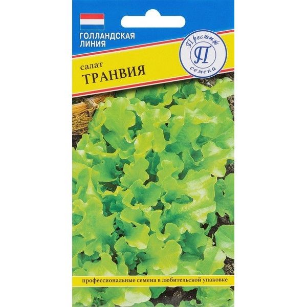Семена Салат «Транвия»