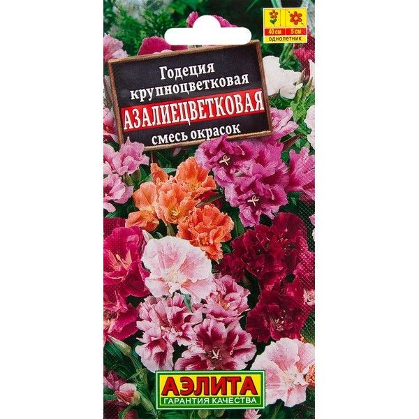 Семена цветов Годеция азалиецветковая микс