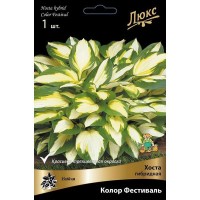 Хоста гибридная Колор Фестиваль луковица I