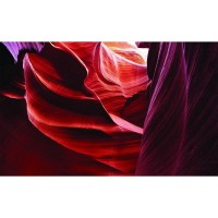 Фотообои WonderWall 273 454х280см