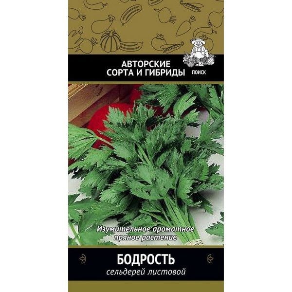 Семена Сельдерей листовой «Бодрость»