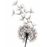 Постер «Лёгкость» 21x29.7 см
