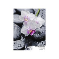 Фотообои Симфония К-095 140х200 см