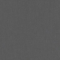 Обои флизелиновые Dekens Wallcoverings Nv Dekens Stylish черные 100403 0.53 м