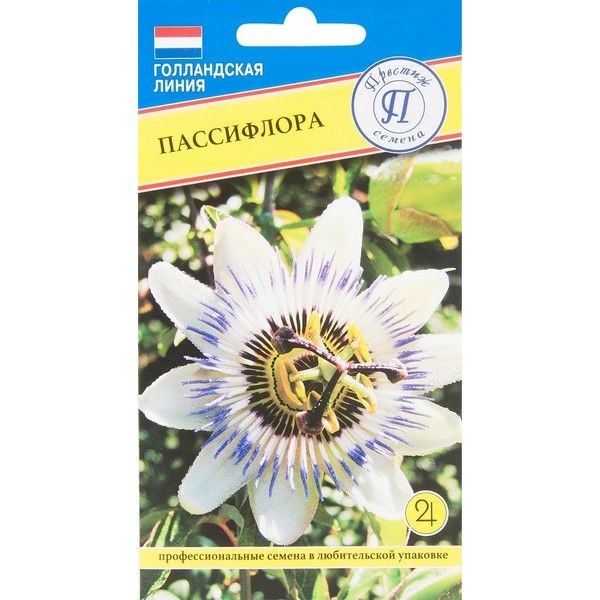 Пассифлора