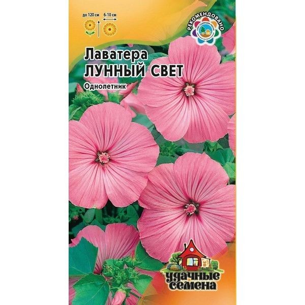 Семена Лаватера Лунный свет
