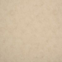 Обои флизелиновые Collection for walls Maja 8016 бежевые 1.06 м