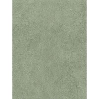 Обои флизелиновые Euro Decor Monstera зеленые 7069-15 1.06 м
