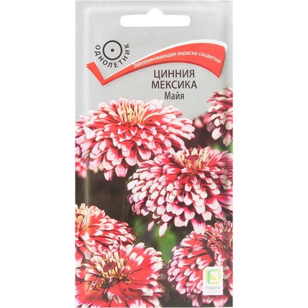 Цинния Мексика «Майя»