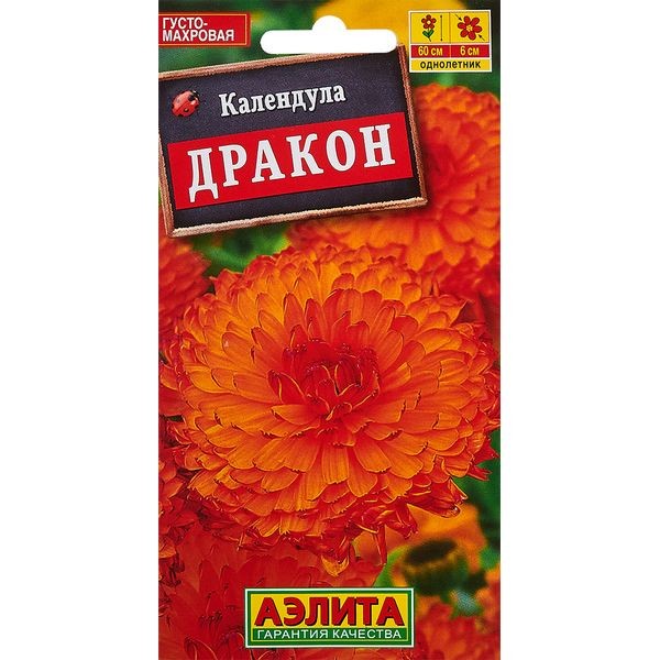 Календула Дракон