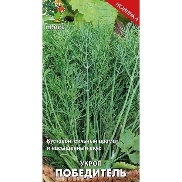 Семена Укроп «Победитель»