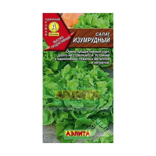 Семена Салат «Изумрудный»