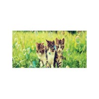 Корзина для хранения "34;Котята с пузырями "34; 35x50 см