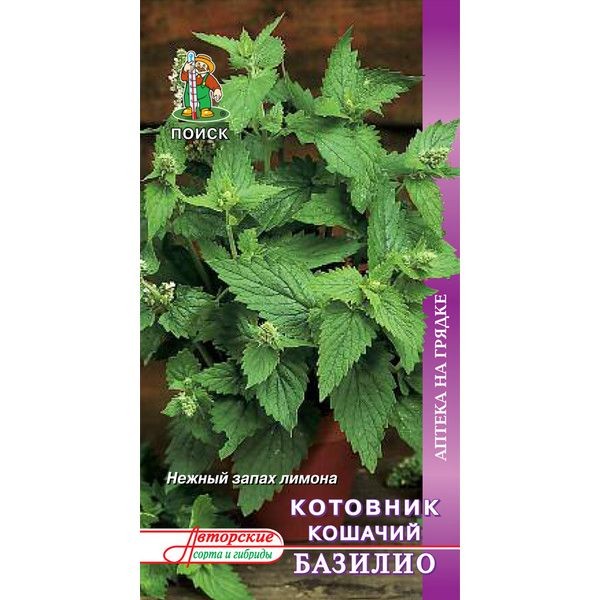 Семена Котовник кошачий «Базилио» (А), 1 г