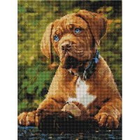 Алмазная мозаика ArtXobby Животное EF1161