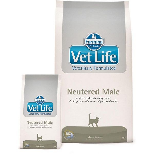 Сухой корм для кастрированных котов RMINA Vet Life Neutered Male 400 г
