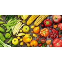 Фотообои Decocode 052-13-DE 250х130 см