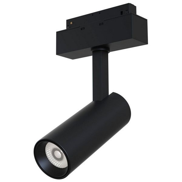 Трековый светильник Maytoni TR019-2-10W3K-B