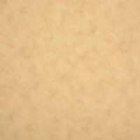 Обои флизелиновые Collection for walls Maja 8017 желтые 1.06 м