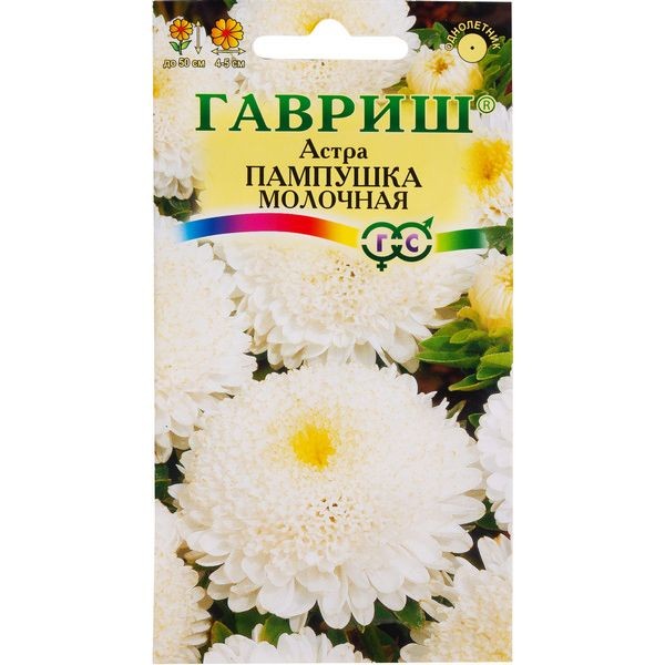 Астра «Пампушка молочная» помпонная, 0.3 г