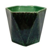 Кактусник 9x10x9 см v0.49 л керамика зелёный