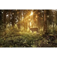 Фотообои Wallberry Decocode 32-0006-PG 300х200 см