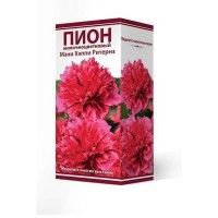 Пион травянистый Мэни Хэппи Ритернз луковица 2-3