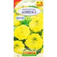 Бархатцы прямостоячие «Аляска»