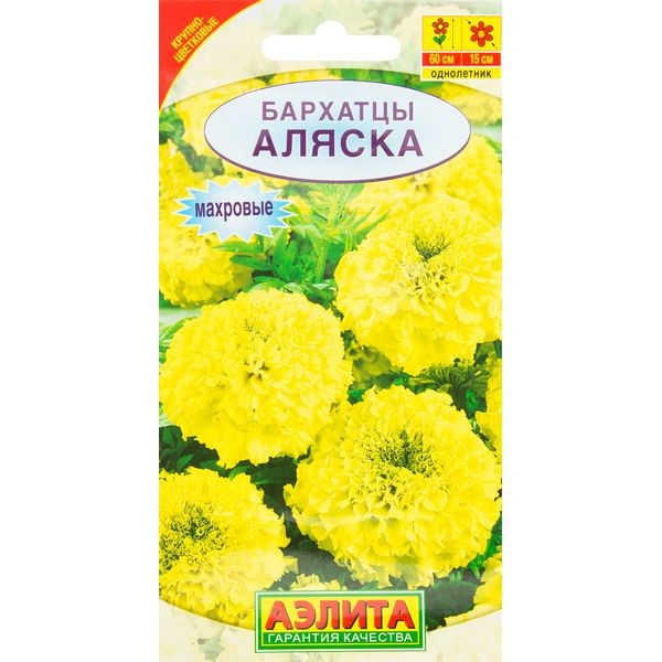 Бархатцы прямостоячие «Аляска»