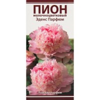 Пионы травянистые Эденс Парфюм