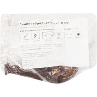 Лилия гибридная Конка Д Ор луковица 12/14