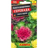 Семена Капуста декоративная «Серенада» микс