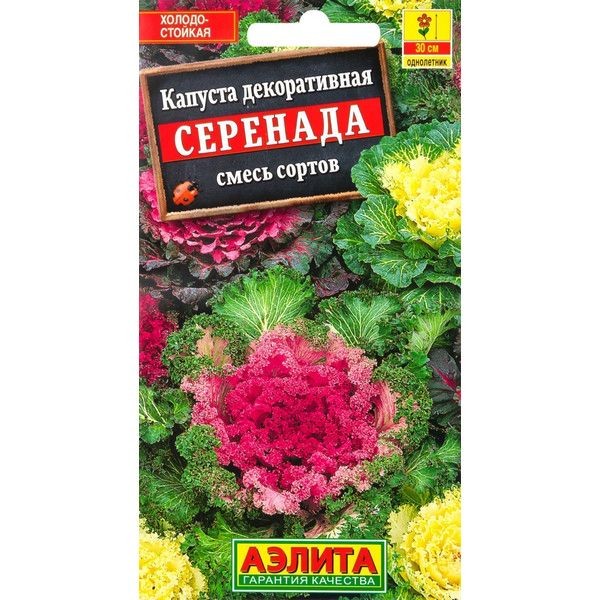 Семена Капуста декоративная «Серенада» микс