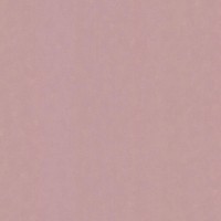 Обои флизелиновые Home Color Rose Melody коричневые 715-45 1.06 м